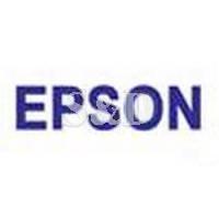 Epson Ink Cartridge 油墨盒