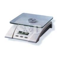 Camry Digital Scale 电子磅