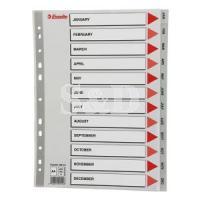 Esselte Plastic Divider 塑胶索引分类
