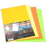 Self Adhesive Fluorescent Label 萤光自动黏贴纸