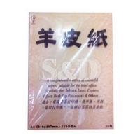 Parchment Paper 羊皮纸